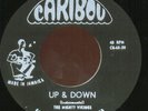 ** THE MIGHTY VIKINGS UP AND DOWN  RARE & KILLER SKA