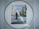 Pink Floyd  Wish You Were Here  Picture Disc LP