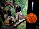 CLEAN 1966 MONO   THE SHONDELLS   HANKY PANKY   GARAGE
