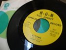 Johnny Nash 45 MGM DJ Promo Stormy Glad Your My Baby MT