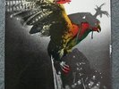 BUDGIE Original UK LP IN FOR THE KILL 