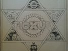 Plexus Look Rare Small Label 70s UK Folk Rock LP HEAR