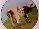 PINK FLOYD 'ATOM HEART MOTHER' PICTURE DISC LP NEW