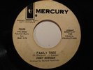 Northern Soul 45 JIMMY NORMAN Family Tree MERCURY HEAR