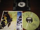 MOONSPELL -The Butterfly Effect,  SPLATTER LP