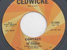 Rare Guitar Surf Instro 45 – The PYRAMIDS – Contact