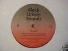 RANDOM RAP   D.L.R.   EAST FLATBUSH HOUSE OF REP.S