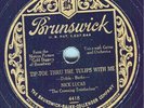 Nick Lucas - Tip Toe Thru the Tulips With Me - 1929