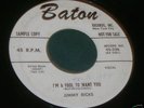 JIMMY RICKS I'M A FOOL TO WANT YOU 45 BATON WLP