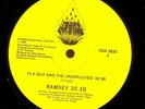 Ramsey 2C-3D Fly Guy & Unemployed Electro 12