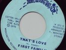 First Family Slow Down 70s X-Over Northern Soul Funk 45