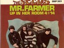 THE SEEDS/ MR. FARMER- 45 PICTURE SLEEVE-1967/GNP-383