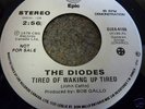 DIODES RARE CANADA PUNK PROMO  7