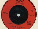 The Odds Dread In My Bed Mod Ska Revival 80's 7