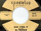 rare Soul Funk 45 AL TRAHAN can i feel it SPINDLETOP