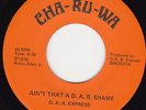 FUNK 45 RPM - D.A.B. EXPRESS on CHA-RU-WA RECORDS