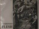 Void - Condensed Flesh 7