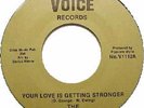 The Four Voices - Your love is getting stronger - Voice