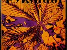 PYRANHA – VERY RARE SWISS PROGRESSIVE LP - 1972