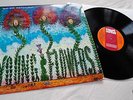 YOUNG FLOWERS - BLOMSTERPISTOLEN   danish Prog Rock