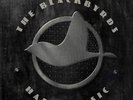 THE BLACKBYRDS happy music SPECIAL PROMO 12