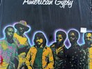 RARE ORIG LP AMERICAN GYPSY CHESS 6003 1975 INSIDE OUT