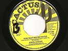 ERROL CARTER-RAM GOAT MALISH WATER/RENKIN DUB CACTUS 7