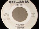 Killer 1960s Psych 45 - GODFREY  The Trip -  CEE-JAM #3