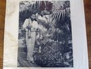 MORRIS WILSON Fantasy Island JAZZ LP private press