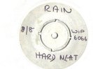 HARD MEAT RAIN ISLAND WHITE LABEL UK PROG PSYCH LISTEN
