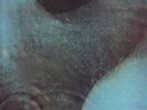 PINK FLOYD-Australian-1971-Meddle-LP