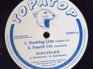 Disciples Prowling Lion UK 10