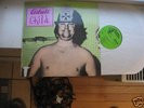 Beach Boys LP Adult Child by Carl and the Passions