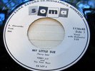 RARE ROCKABILLY-MY LITTLE SUE-TERRY LEE-POOR BOYS-1959
