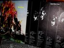 MINT 1968  FEVER TREE 1st   Texas Garage Psych SF GIRLS