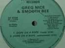 GREG NICE & SMOOTH BEE - DOPE ON A ROPE / SKILL TRADE