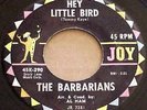 45 RPM RARE GARAGE, BARBARIANS, HEY LITTLE BIRD, JOY 29