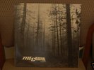 THE CURE- A Forest- Orig. Fiction (FICSX 10) release