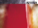 Nine Inch Nails The Fragile New RED Wax 3-LP + Booklet