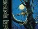 IRON MAIDEN - FEAR OF THE DARK 2 LP SET