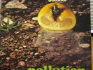 BATTIATO - Pollution LP Italy Gatefold Prog Psych Orig