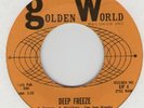 60s DETROIT NORTHERN SOUL ADORABLES GOLDEN WORLD 4/5
