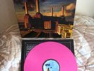 Pink Floyd...ANIMALS 1977 GERMAN Pressed PINK LP.
