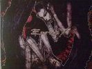 VINYL HARDCORE PSYCHIK GENOCIDE LP03 ANDROGYN NETWORK