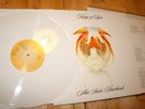 KINGS OF LEON - AHA SHAKE... White Vinyl LP - RARE