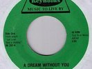 modern soul 45 LILLIAN ALEXANDER dream without you ??