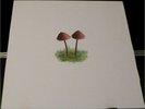 Mark Farina Mushroom Jazz 2 House OM