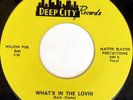 rare Soul 45 HELENE SMITH what's in the lovin DEEP CITY