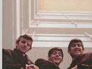 THE BEATLES LP Multicolor  