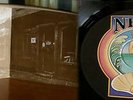LP     SHAPE OF THE RAIN  -  RCA NEON